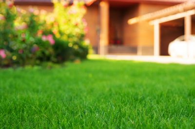 Lawn Landscaping detail