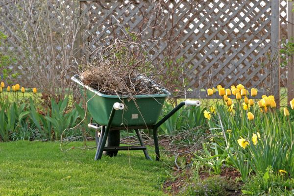 Flower Bed Cleanup Service in Boulder