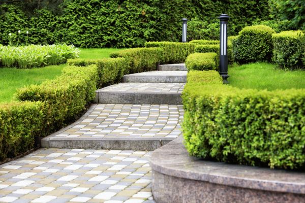 Backyard Remodeling in Boulder