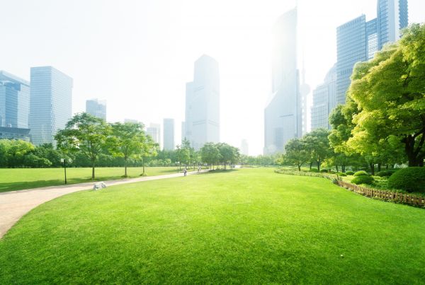 Commercial Landscape Maintenance in Boulder