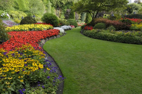 Landscaping Maintenance in Boulder
