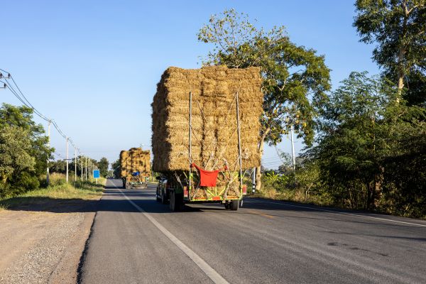Pine Straw Delivery in Boulder