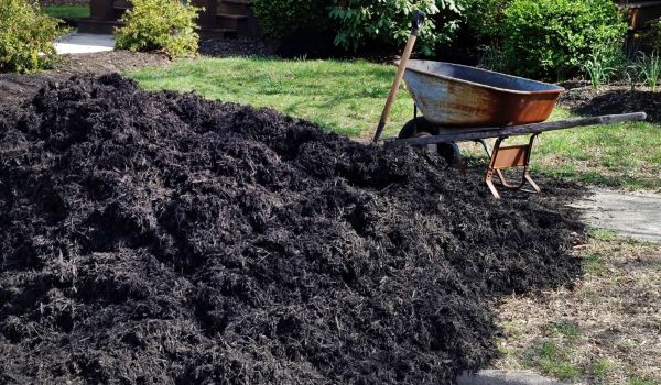 Black Mulch Delivery in Boulder