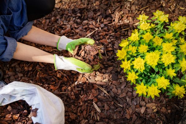 Garden Mulching in Boulder