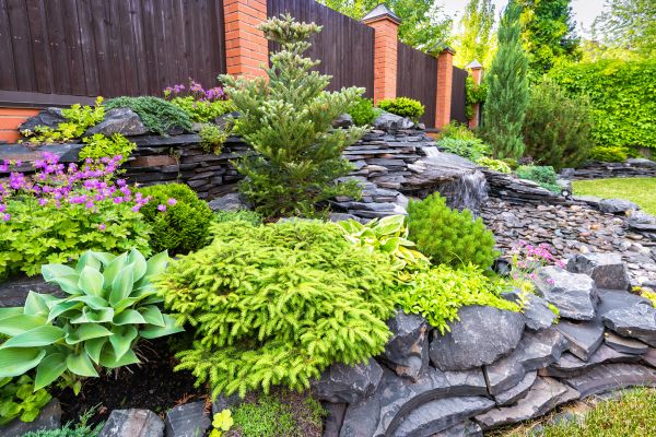 Landscape Remodeling in Boulder