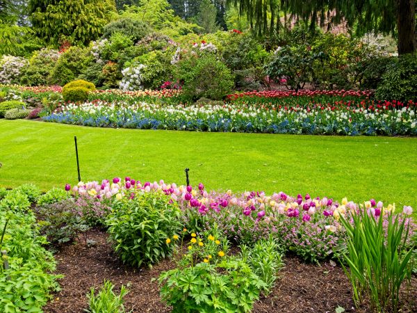 Residential Landscape Design in Boulder