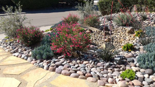 Xeriscape Landscaping in Boulder