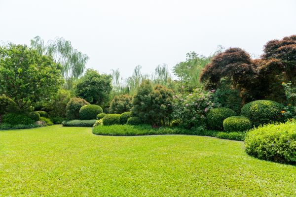 Tree Landscaping in Boulder
