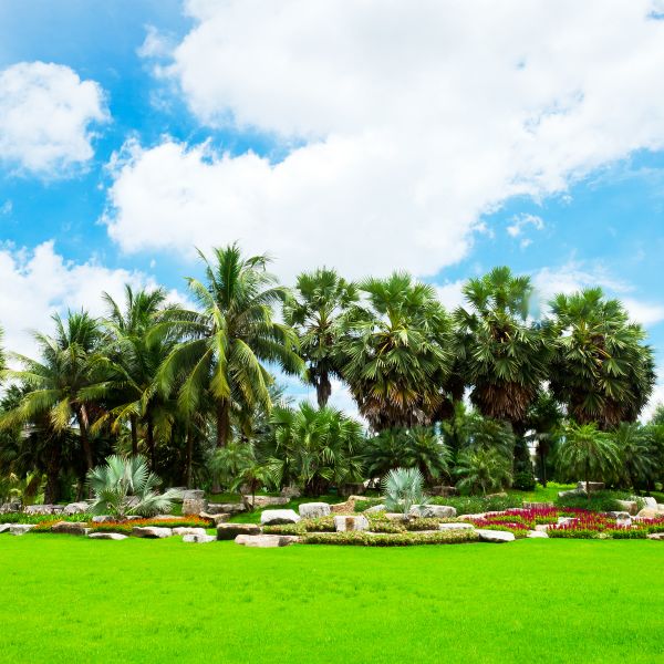 Tropical Landscaping in Boulder