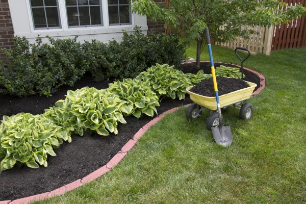 Landscape Mulching in Boulder