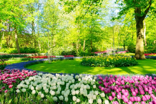 Flower Landscaping in Boulder