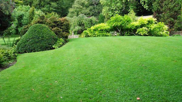 Commercial Landscape Design in Boulder