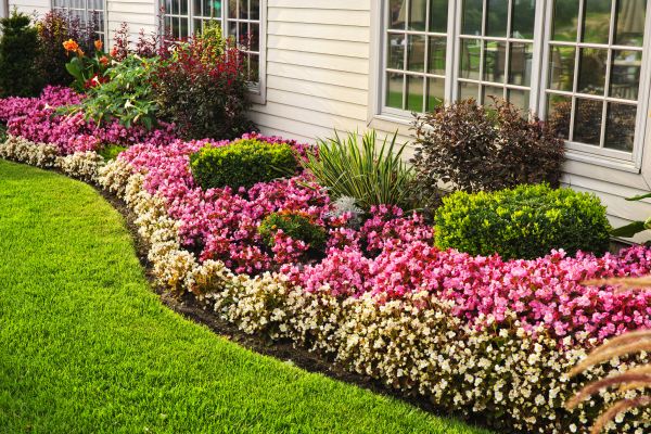 Garden Landscape Design in Boulder