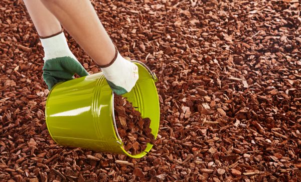 Wood Chip Landscaping in Boulder