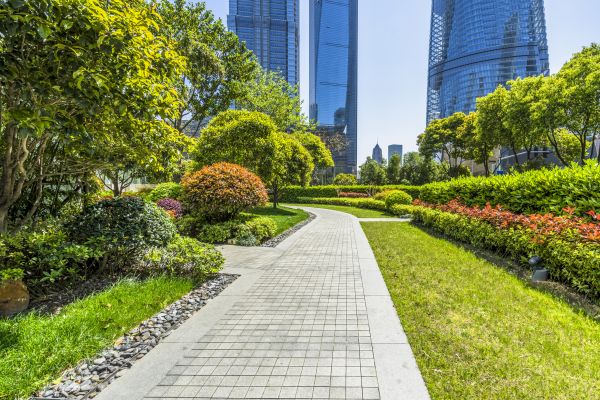 Commercial Landscaping in Boulder